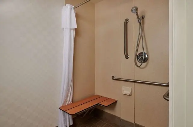 Stüdyo, 1 Büyük (Queen) Boy Yatak, Engellilere Uygun (Mobility & Hearing, Roll-in Shower)
