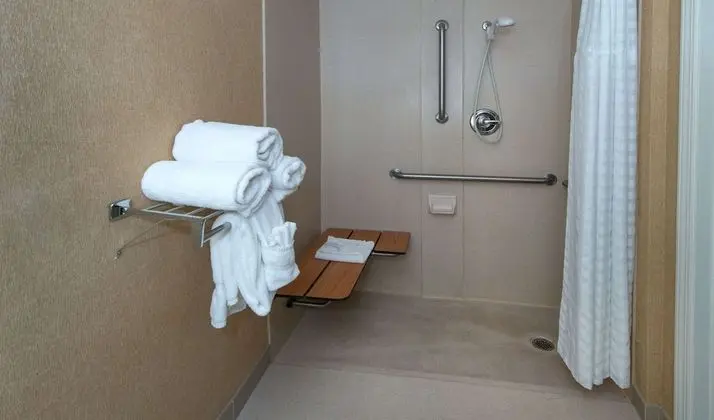 Stüdyo, 1 Büyük (Queen) Boy Yatak, Engellilere Uygun (Mobility & Hearing, Roll-in Shower)