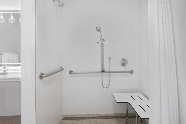 Süit, 1 En Büyük (King) Boy Yatak, Engellilere Uygun, Sigara İçilmez (Roll-in Shower)