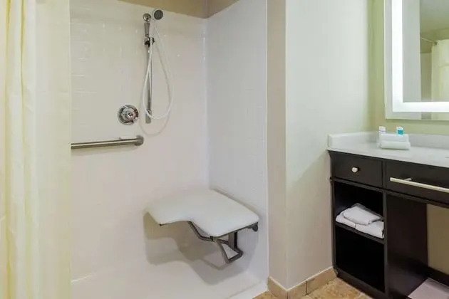 Stüdyo, 1 En Büyük (King) Boy Yatak, Engellilere Uygun, Sigara İçilmez (3x3 Transfer Shower)