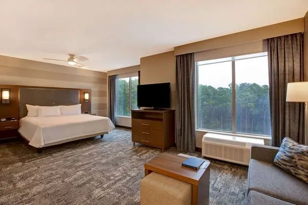 ADA Suite, 1 King Bed (Hearing)