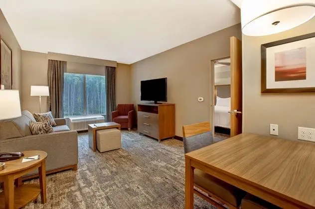 ADA Suite, 1 King Bed (Hearing)