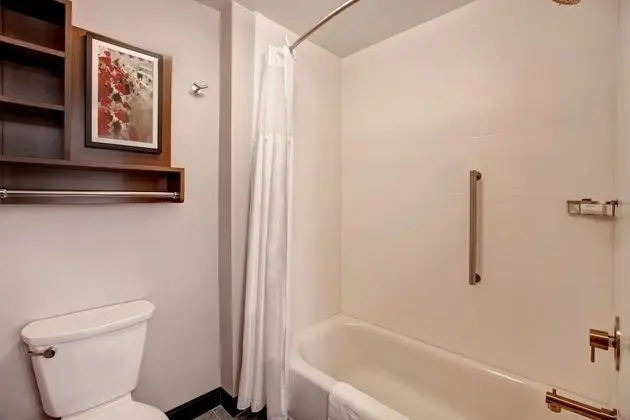 ADA Suite, 1 King Bed (Hearing)