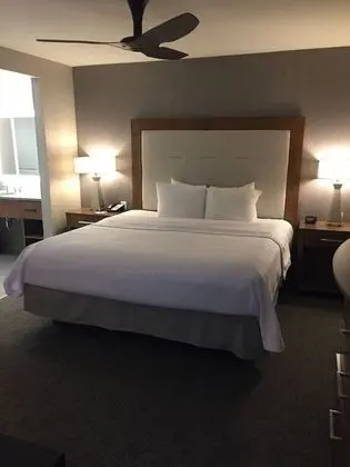 Stüdyo, 1 En Büyük (King) Boy Yatak, Engellilere Uygun, Sigara İçilmez (Roll In Shower)