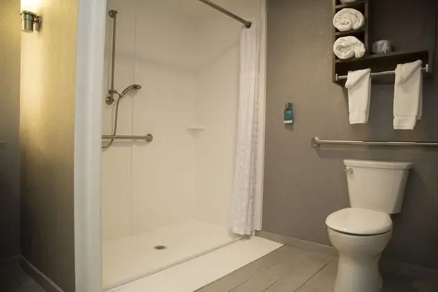 Stüdyo, 1 En Büyük (King) Boy Yatak, Engellilere Uygun, Sigara İçilmez (Roll In Shower)