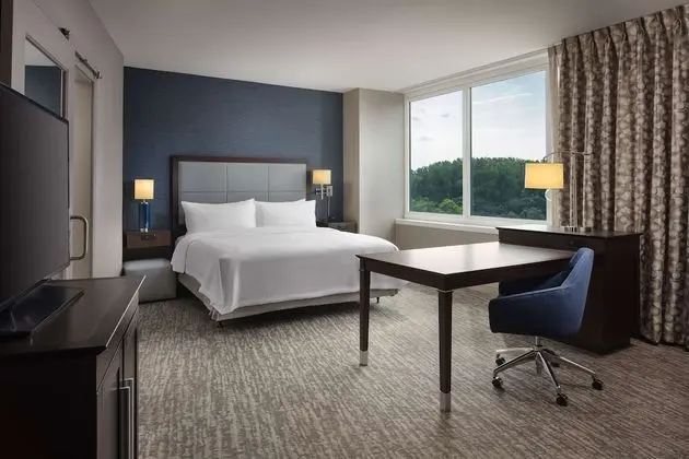Suite, 1 King Bed, Accessible, City View (Bathtub)