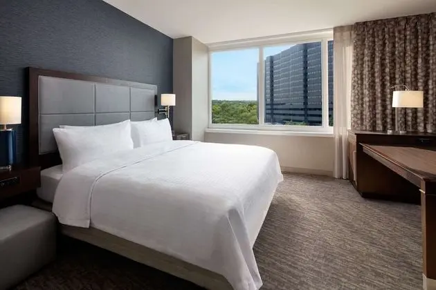 Suite, 1 King Bed, Accessible, City View (Bathtub)
