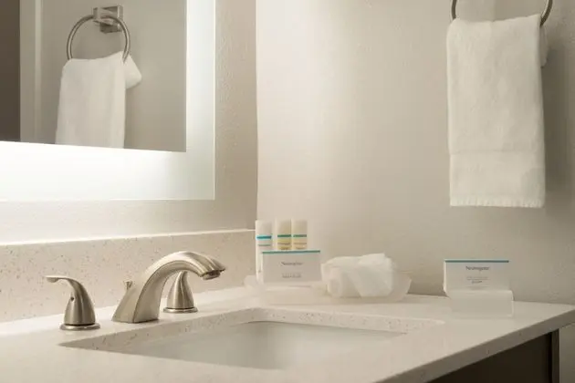 Stüdyo, 1 En Büyük (King) Boy Yatak, Engellilere Uygun, Sigara İçilmez (Roll-In Shower)
