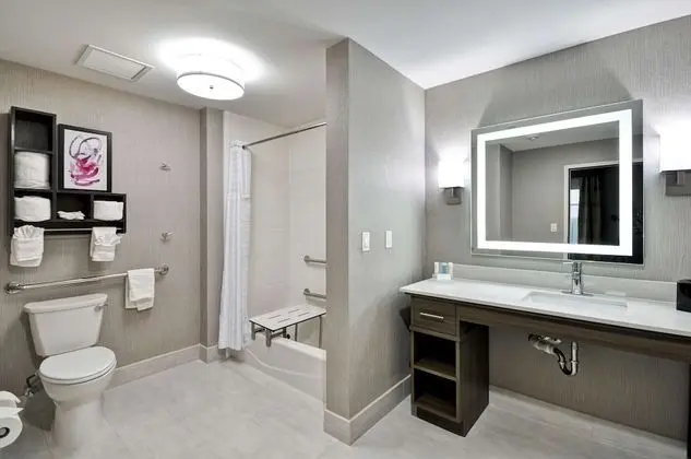Süit, 1 En Büyük (King) Boy Yatak, Engellilere Uygun, Sigara İçilmez (Roll-in Shower)