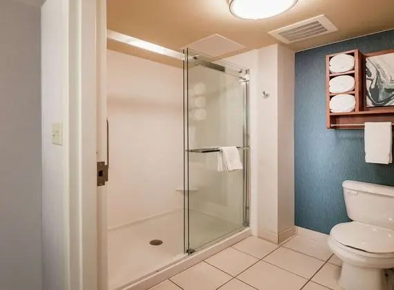 Süit, 2 Çift Kişilik Yatak, Engellilere Uygun, Küvet (Mobility)