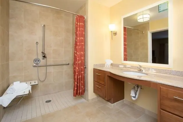 Stüdyo, Engellilere Uygun, Sigara İçilmez (Roll-in Shower)
