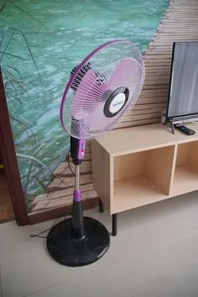 Oda
