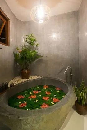 Deluxe Oda, Bahçe Manzaralı (Tropical)