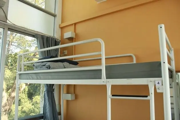 Ortak Ranzalı Oda, Sadece erkekler için (1 Bed in 4-Bed Male Dormitory Room)