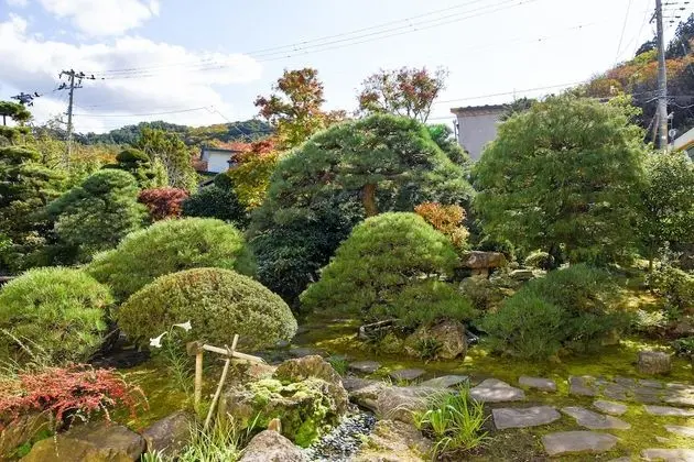 Traditional Oda, Sigara İçilebilir, Ortak Banyo (Japanese Style 8 tatami-mats)