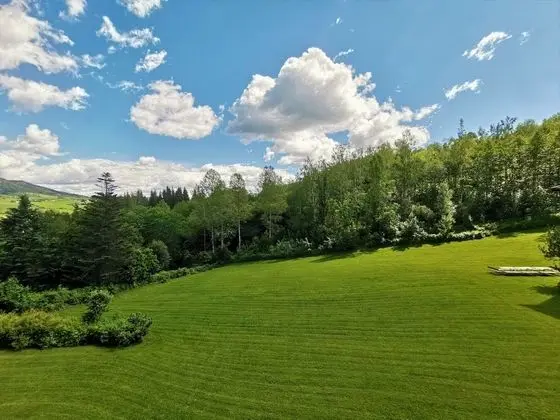 Basic Tek Kişilik Oda, Bahçe Manzaralı