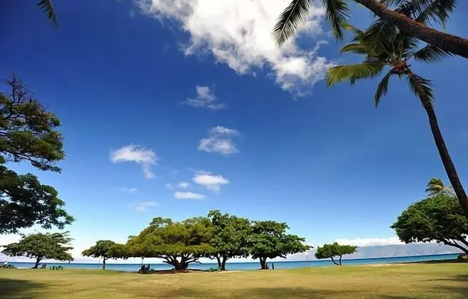 Daire, 1 Yatak Odası