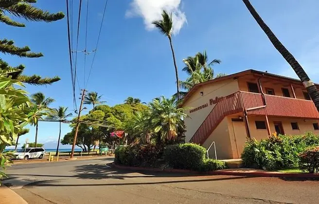 Daire, 1 Yatak Odası