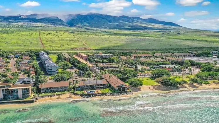 Daire, 1 Yatak Odası