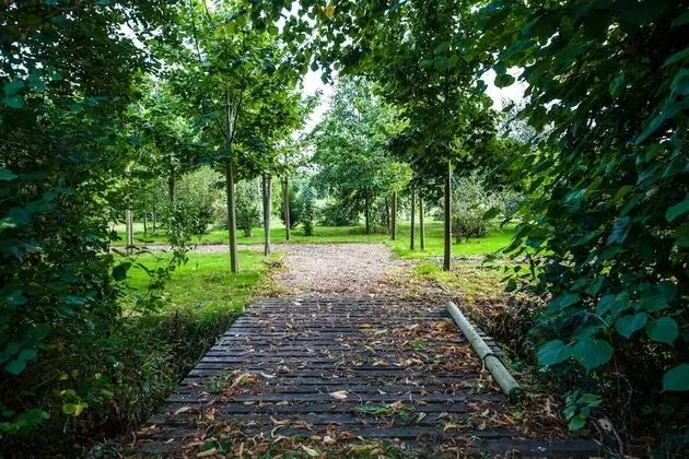 Tek Büyük veya İki Ayrı Yataklı Oda, Banyolu/Duşlu, Bahçe Manzaralı