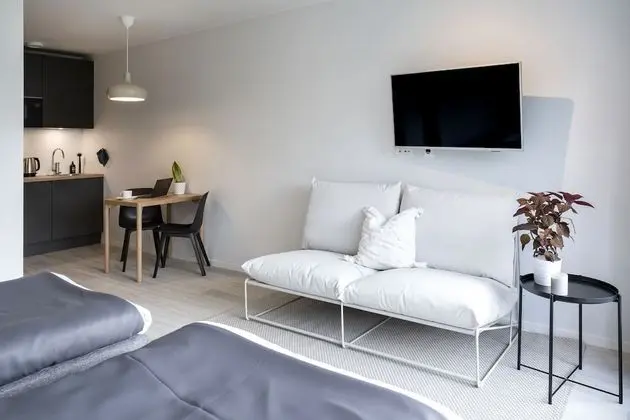Stüdyo, 1 Yatak Odası (Studio Apartment Kingsize)