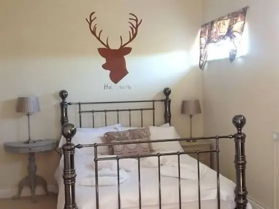 Tek Büyük Yataklı Oda, Banyolu/Duşlu (Holkham)