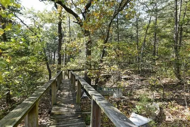 Ev (Hoot Owl @ Table Rock Lake - AMAZING )