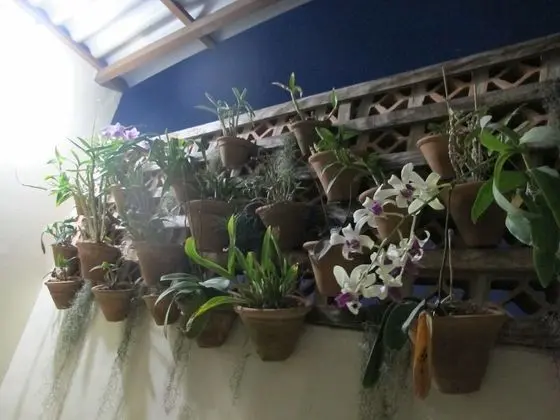 Romantic Tek Büyük veya İki Ayrı Yataklı Oda, 1 Çift Kişilik Yatak, Bahçe Manzaralı