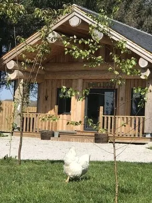 Kulübe, 1 En Büyük (King) Boy Yatak