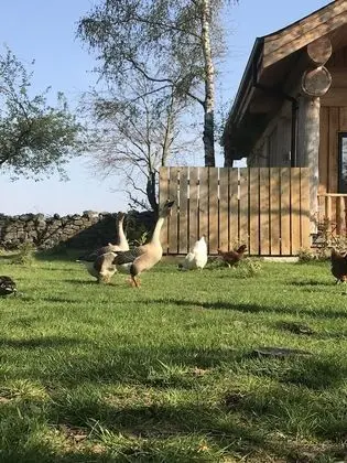 Kulübe, 1 En Büyük (King) Boy Yatak