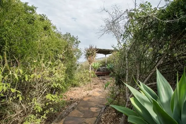 Nguni Private Luxury Suite with Gazebo (1)