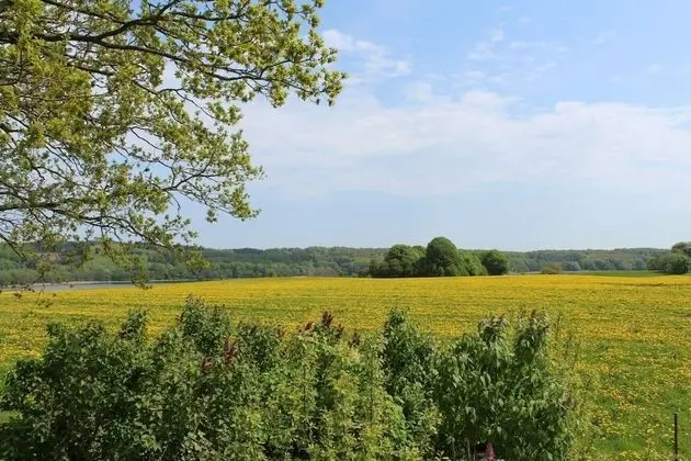 Apart Daire, 1 Yatak Odası, Özel Banyo