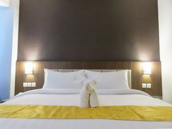 Deluxe Tek Büyük Yataklı Oda