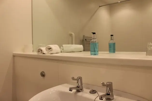 Tek Büyük Yataklı Oda, Banyolu/Duşlu (King Size)