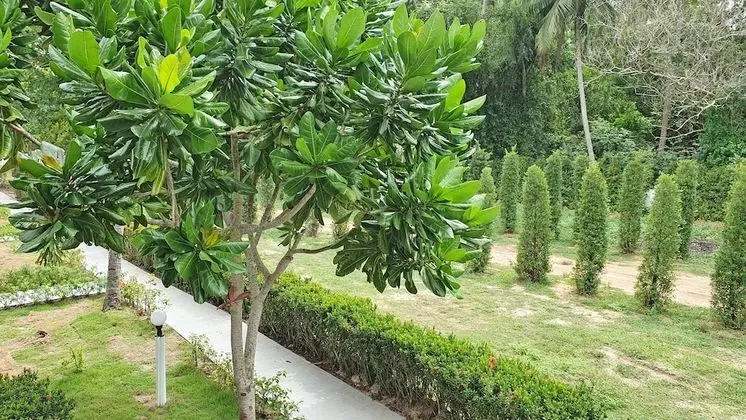 Double Bungalow, Air-Conditioning