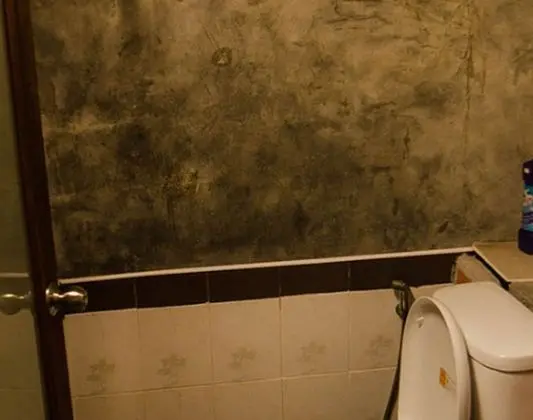 Standard Fan share Bathroom