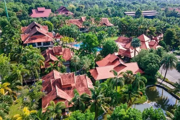 Deluxe Oda (Special Promotion)