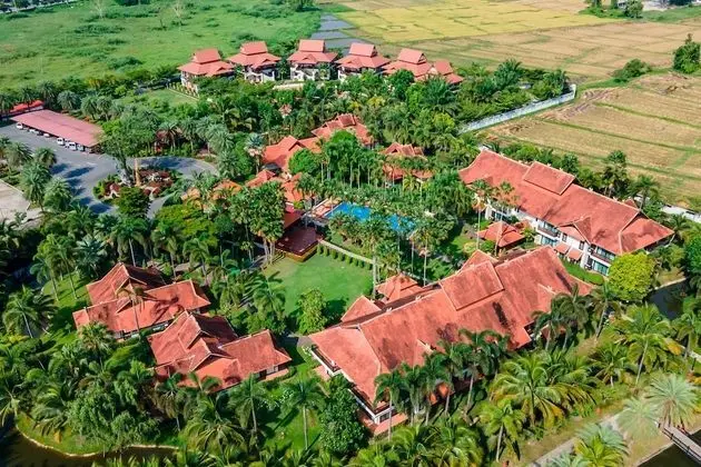 Deluxe Oda (Special Promotion)