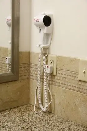 Süit