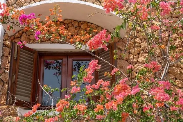 Süit, Bahçe Manzaralı