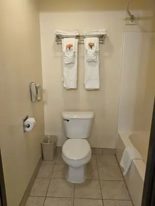 Standard Oda