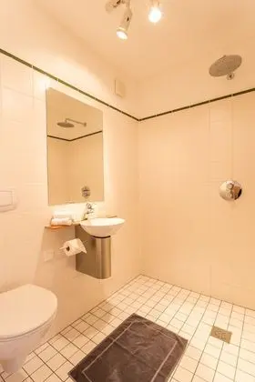 Standard Tek Büyük Yataklı Oda, Özel Banyo
