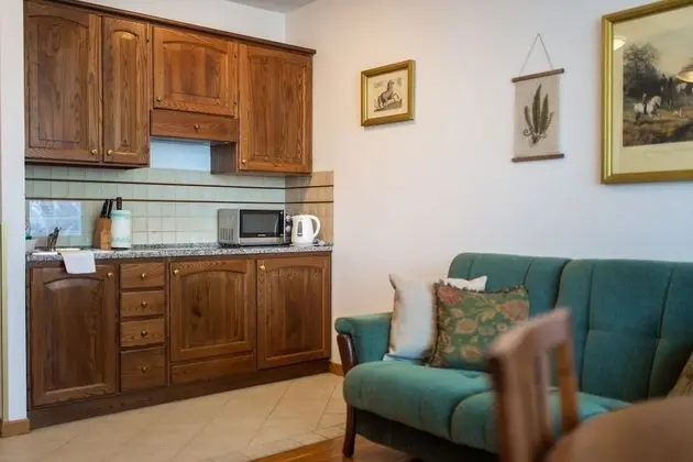 Traditional Apart Daire, 1 Yatak Odası, Küçük Mutfak
