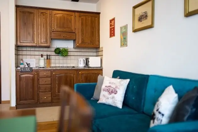 Traditional Apart Daire, 1 Yatak Odası, Küçük Mutfak