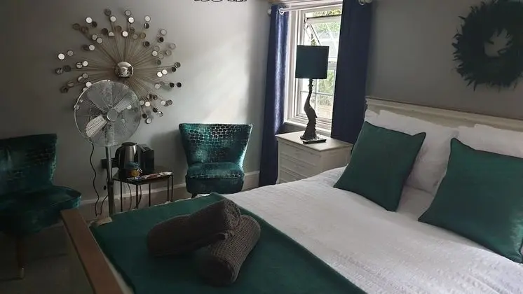 Premium Tek Büyük Yataklı Oda, 1 En Büyük (King) Boy Yatak
