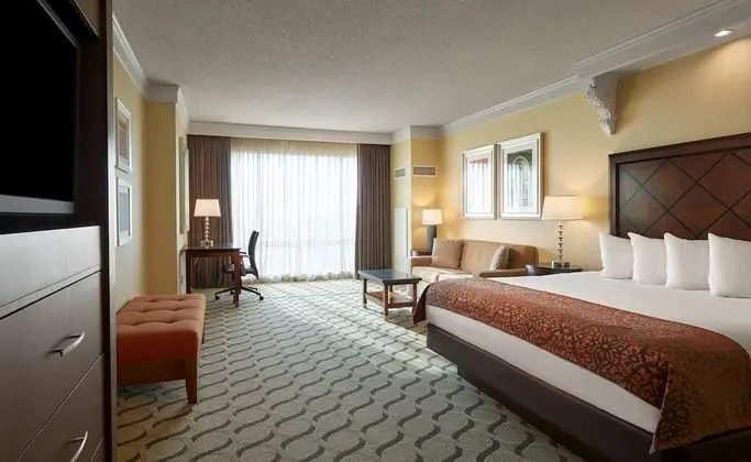 Luxury Oda, 1 En Büyük (King) Boy Yatak