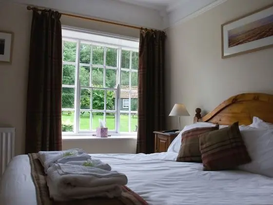 Deluxe Tek Büyük Yataklı Oda, Banyolu/Duşlu (Room 1)