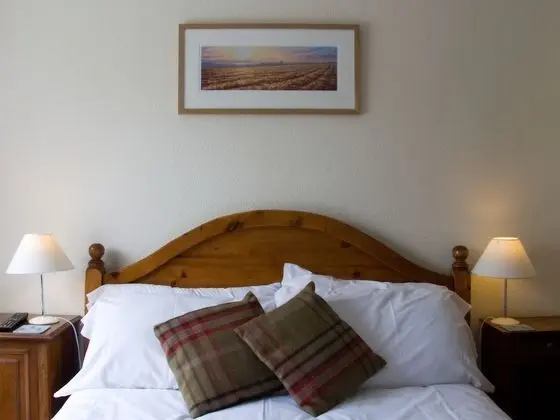 Deluxe Tek Büyük Yataklı Oda, Banyolu/Duşlu (Room 1)