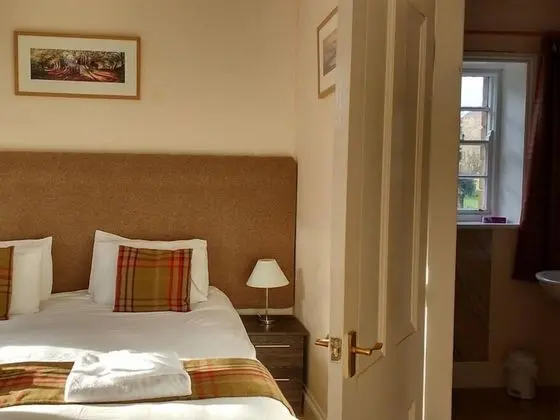 Superior Tek Büyük Yataklı Oda, Banyolu/Duşlu (Room 3)