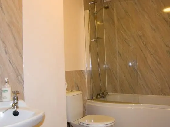 Tek Büyük Yataklı Oda, Banyolu/Duşlu (Room 2)